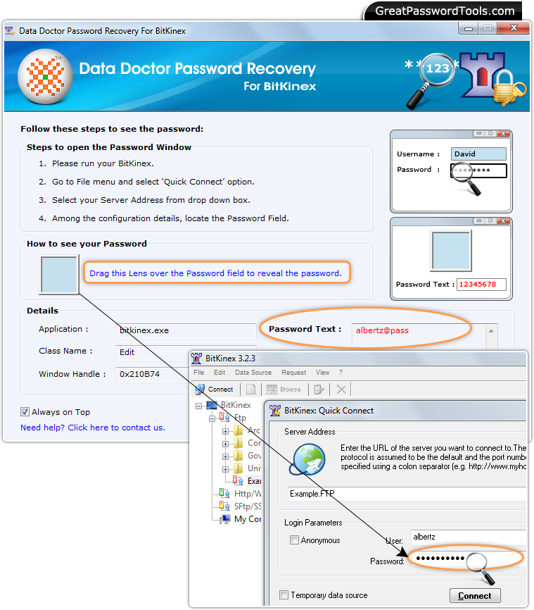 Password Recovery For BitKinex