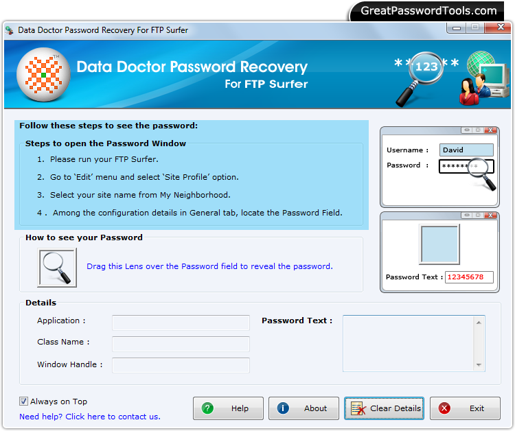 Password Recovery For FTP Surfer