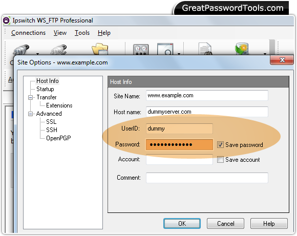 Password Recovery For Ipswitch WS_FTP