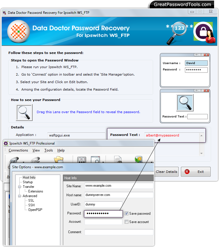 Password Recovery For Ipswitch WS_FTP